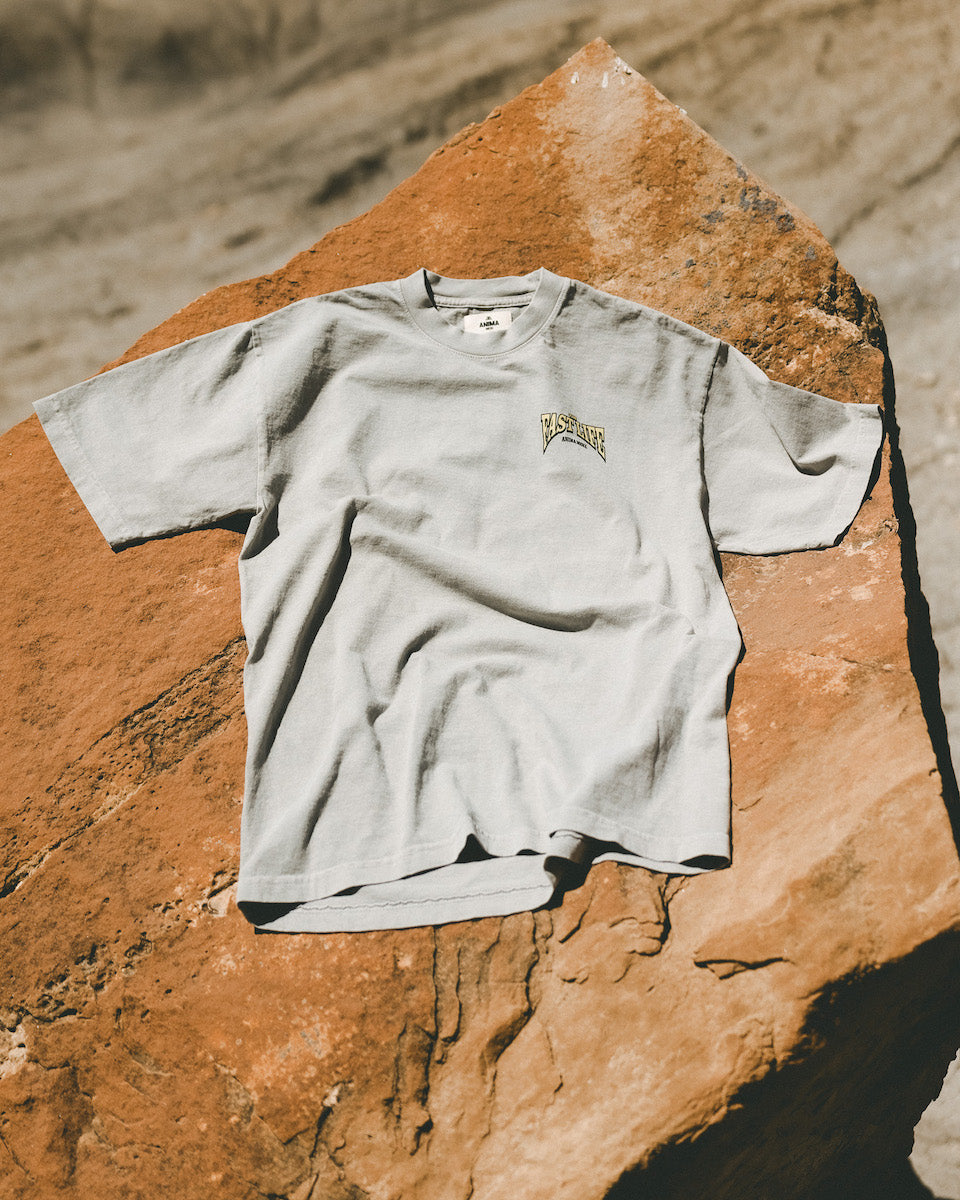 THE FAST LIFE GRAPHIC TEE: GRAY