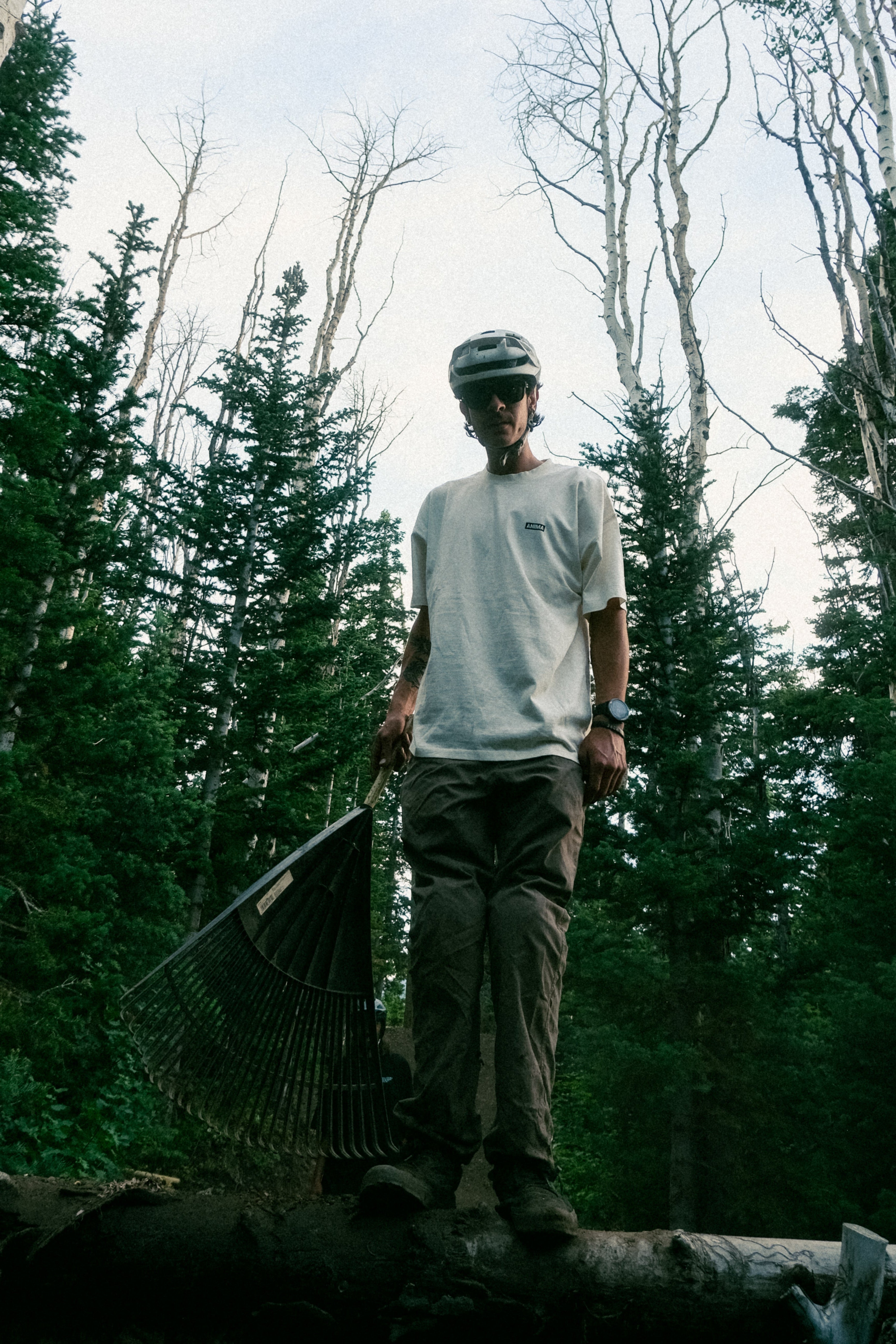 FIELD TEE: WHITE